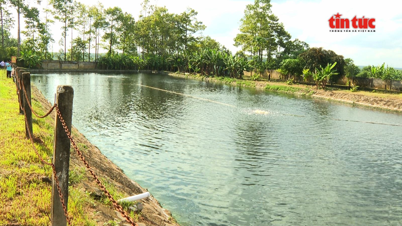 Nhờ áp dụng công nghệ, nước thải sau khi qua các bể lắng có thể nuôi cá và tưới tiêu. Nhờ áp dụng công nghệ, nước thải sau khi qua các bể lắng có thể nuôi cá và tưới tiêu.