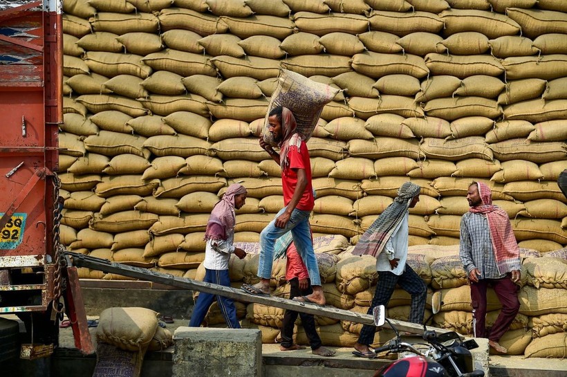 Arbeiter transportieren Reis in einem Lagerhaus in Jalandhar, Indien. van-chuyen-gao.jpg
