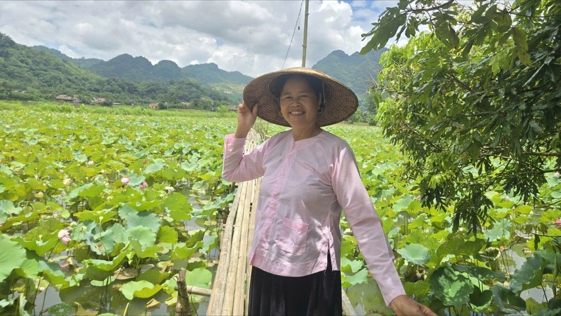 លោកស្រី Hoang Thi Uc (ជនជាតិ Tay ខេត្ត Lao Cai) ជួសជុលស្រះ ដាំផ្កាឈូក និងស្វាគមន៍ភ្ញៀវទេសចរណ៍។ dam-sen-1-8597.jpg