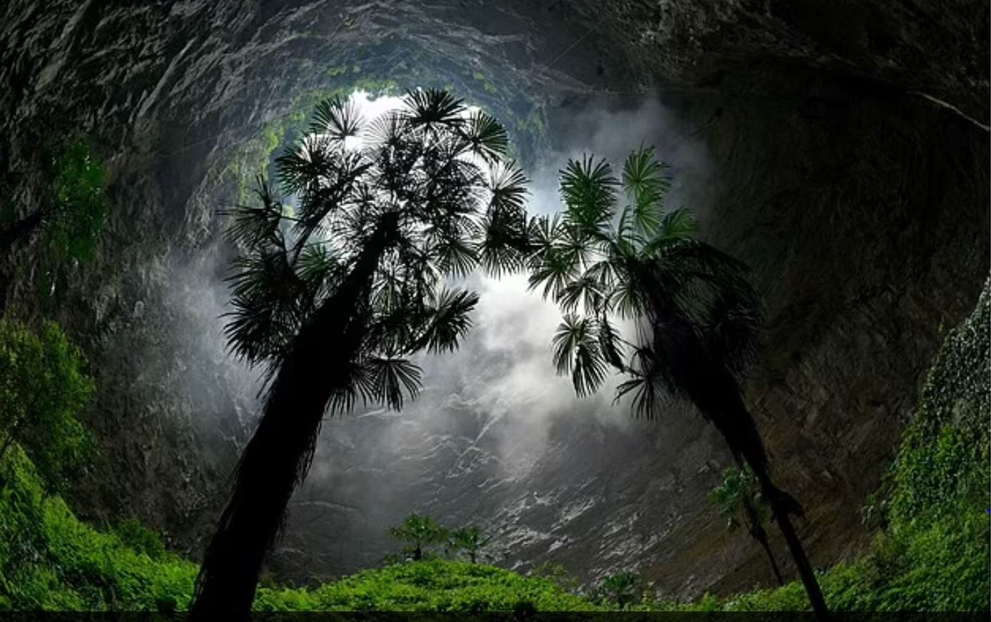 Hình minh họa. Hình minh họa.