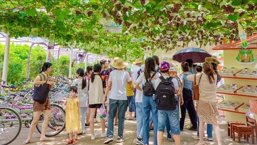 អ្នកជំនាញនិយាយថា វៀតណាមកំពុងប្រឈមនឹងពេលវេលាមាសដើម្បីអភិវឌ្ឍគំរូសេដ្ឋកិច្ចលើដីកសិកម្ម។ du-lich-1-4414.jpg