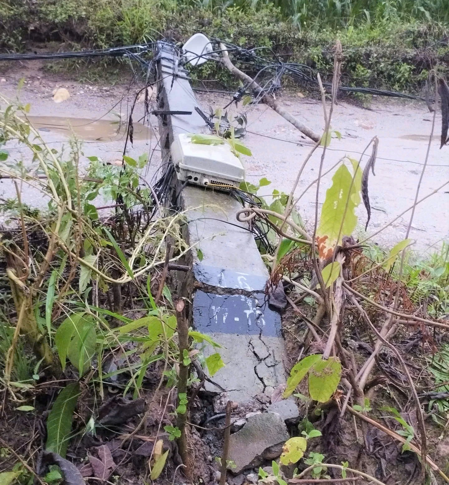 Dông lốc làm đổ cột điện ở xã Khánh Hòa.