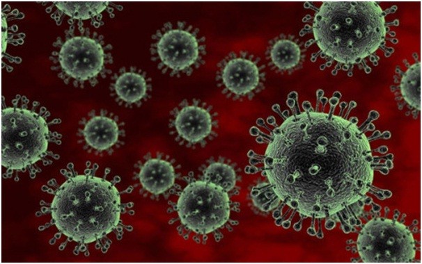 Ảnh minh họa. virus.jpg