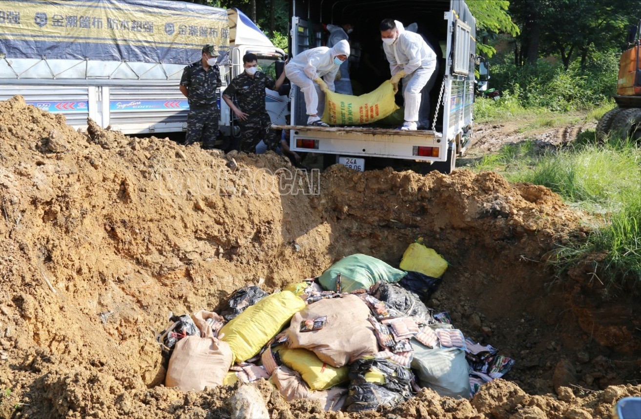 Thực phẩm đông lạnh nhập lậu đưa đi tiêu hủy. tieu-huy-2591.jpg