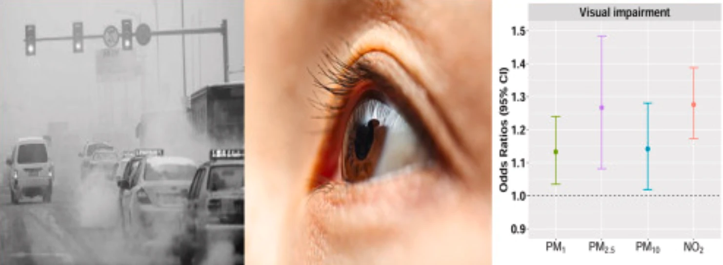 Một nghiên cứu trước đây của Trung Quốc cũng cho thấy việc tiếp xúc với ô nhiễm không khí có liên quan đến tỷ lệ suy giảm thị lực ở trẻ em.