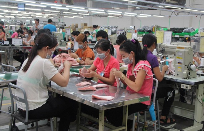 Trong 7 tháng của năm, tổng kim ngạch xuất nhập khẩu đạt 514,7 tỷ USD, tăng 16,3% so với cùng kỳ năm trước, tiếp tục giữ vững vị thế xuất siêu với cán cân xuất siêu ước đạt 4 tỷ USD. kt-3.jpg