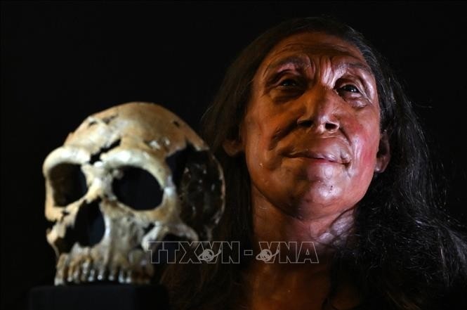 Phục dựng khuôn mặt người phụ nữ Neanderthal sống cách đây 75.000 năm, công bố tại Đại học Cambridge (Anh), ngày 25/4/2024. 18-7-phuc-dung-4442.jpg