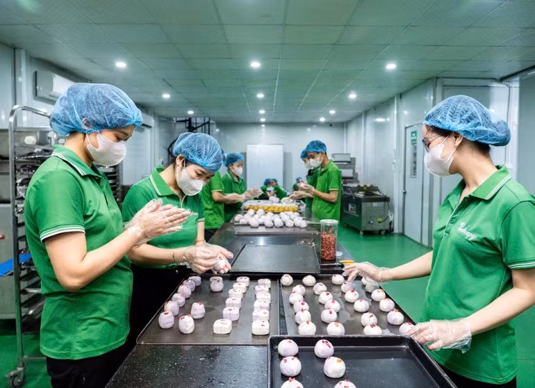 Dây chuyền sản xuất bánh trung thu “healthy”.