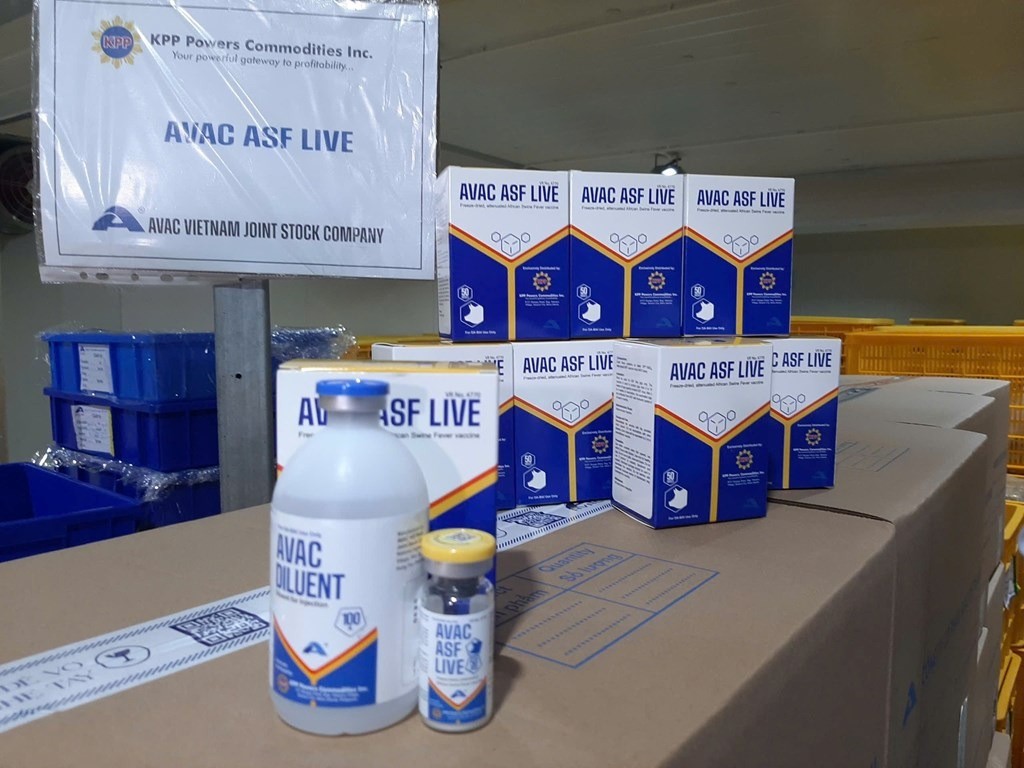 Vaccine dịch tả lợn châu Phi AVAC ASF LIVE xuất khẩu sang Philippines. vaccine.jpg