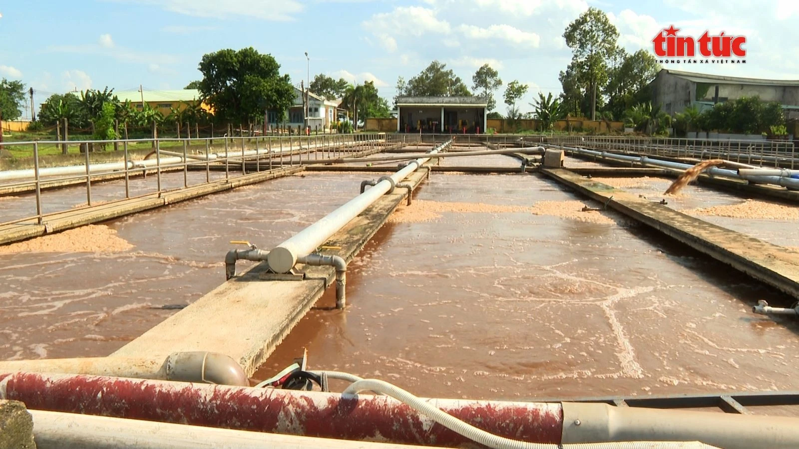 Nhiều doanh nghiệp đã biến bùn thải thành phân bón hữu cơ thu lợi hàng tỷ đồng mỗi năm.