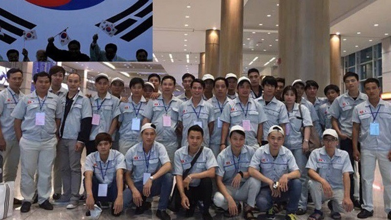 Lao động đi làm việc ở Hàn Quốc. lao-dong-hq-3977.jpg
