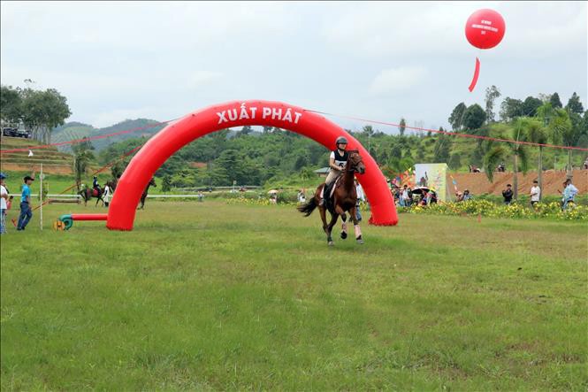 Một tay đua bắt đầu xuất phát. ngua-2.jpg