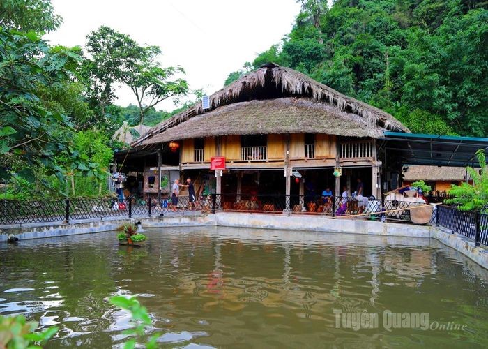 Cậy’Homestay có không gian xanh mát, gần gũi thiên nhiên. cay-homstay.jpg