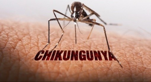 Ảnh minh hoạ. who-virus-2038.jpg