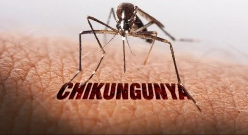 who-virus-2038.jpg