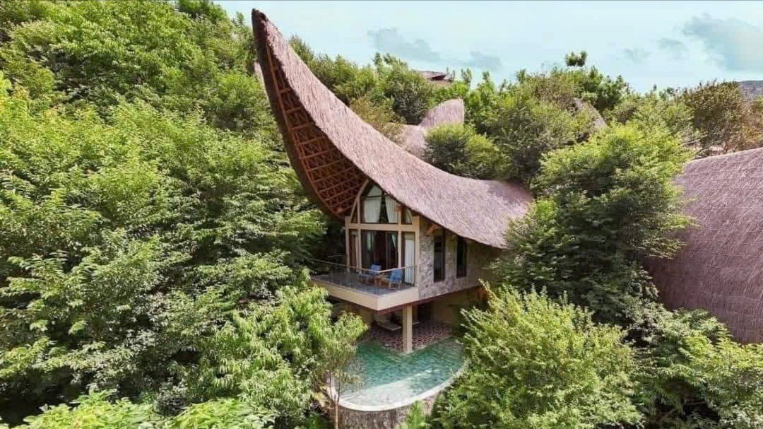 រីសត Garrya Mu Cang Chai មានលំហមួយស្របនឹងធម្មជាតិ។ z7023712325271-945b2806e9f4fdd20c209ae0cce6252d.jpg