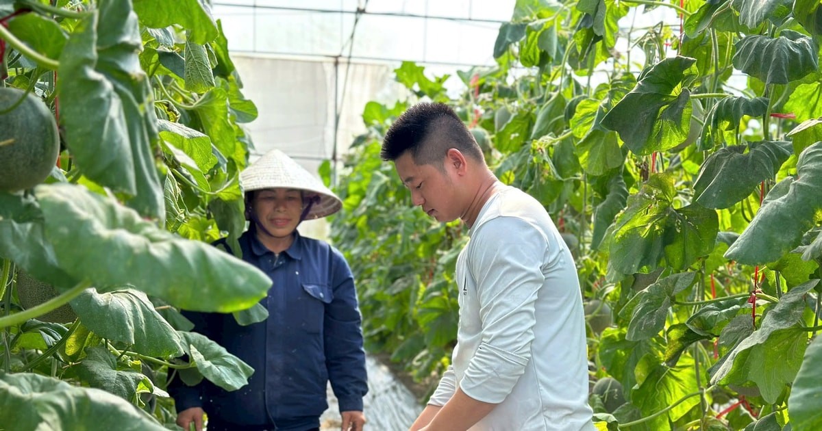 صورة توضيحية. phu-pham-nong-nghiep.jpg