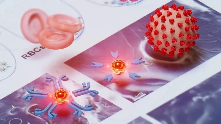 Xét nghiệm máu One-Drop với chi phí thấp.