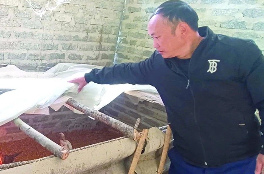 Anh Giàng A Vành kiểm tra, chăm sóc gà giống. Anh Giàng A Vành kiểm tra, chăm sóc gà giống.