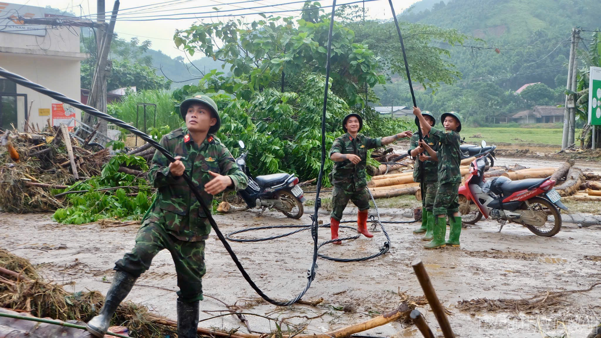 baolaocai-br_z7076681104996-7c3b403f991f213ff6093d7f9766290b.jpg