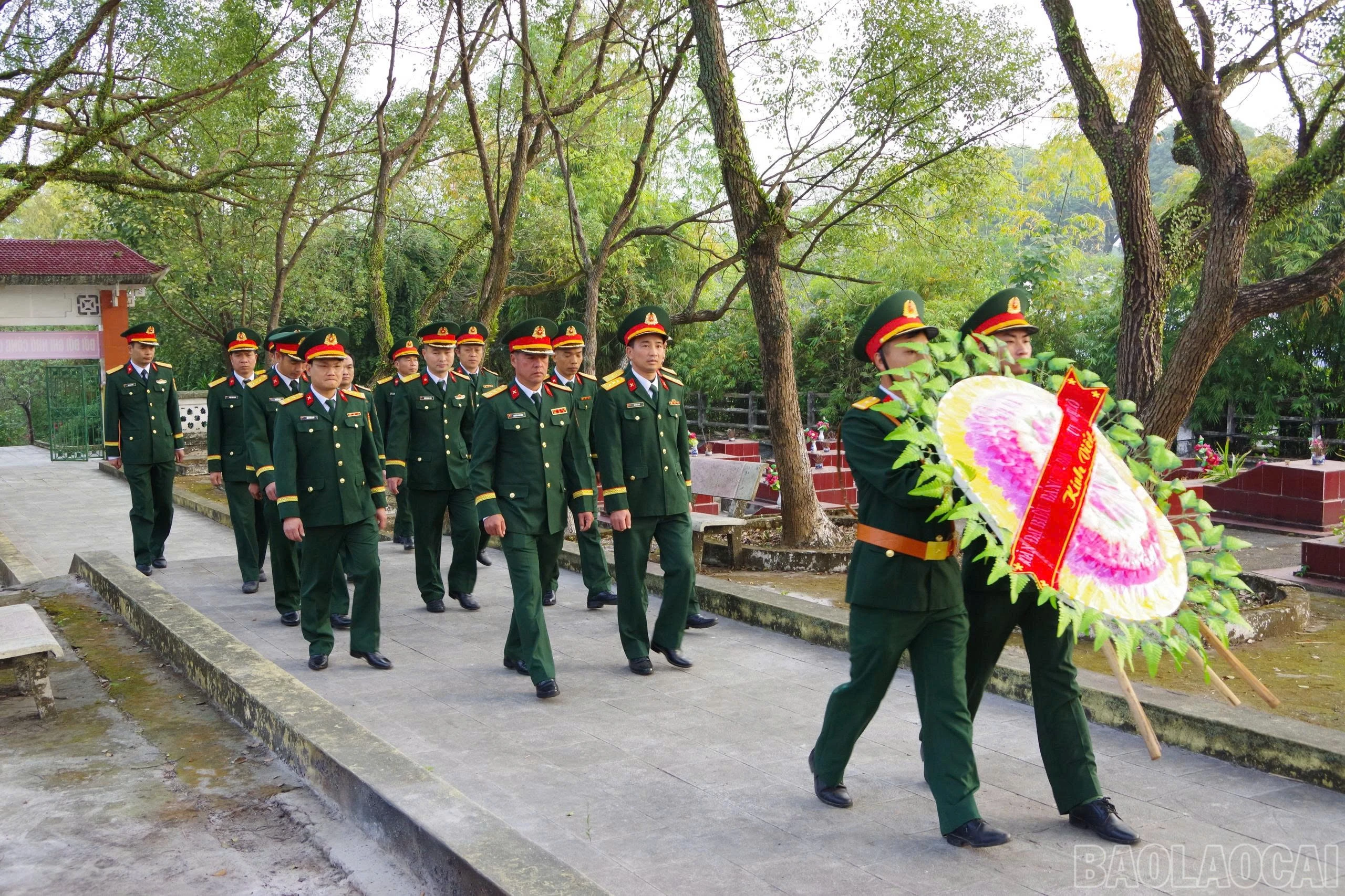 baolaocai-br_z7352759070975-bdfc4ff3e491619c2c3835a87a58dd6c.jpg