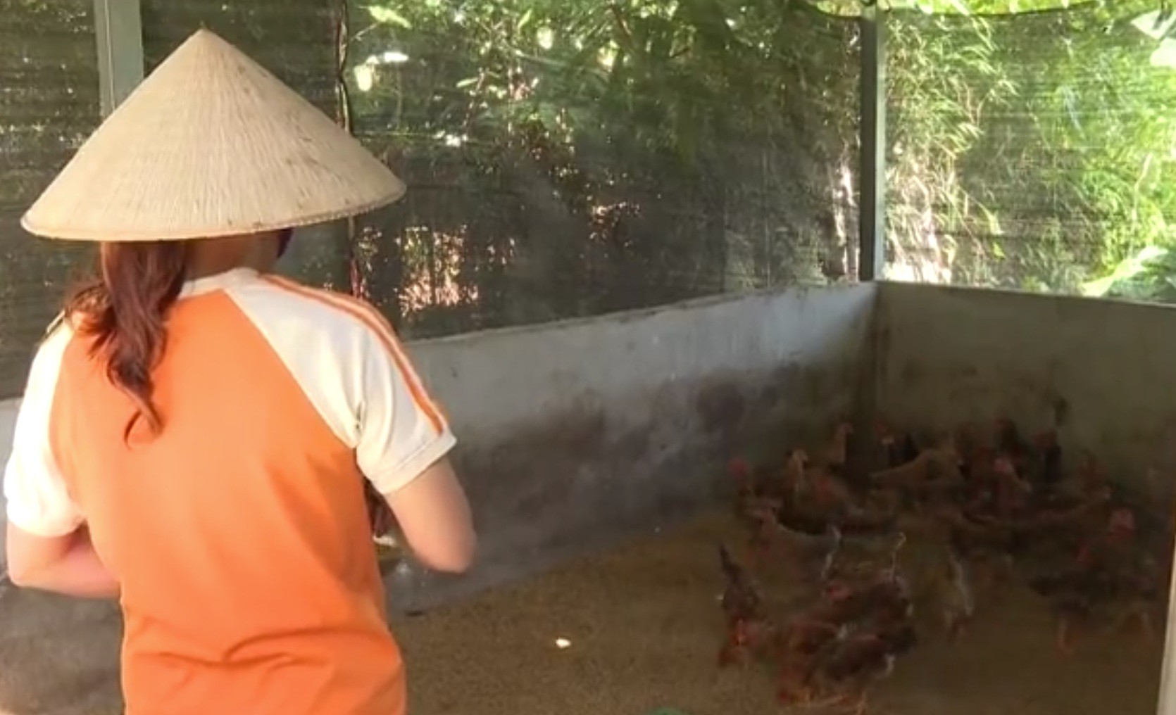 Các hộ đều sử dụng vốn vay đúng mục đích, sản xuất, kinh doanh có hiệu quả. untitled.jpg