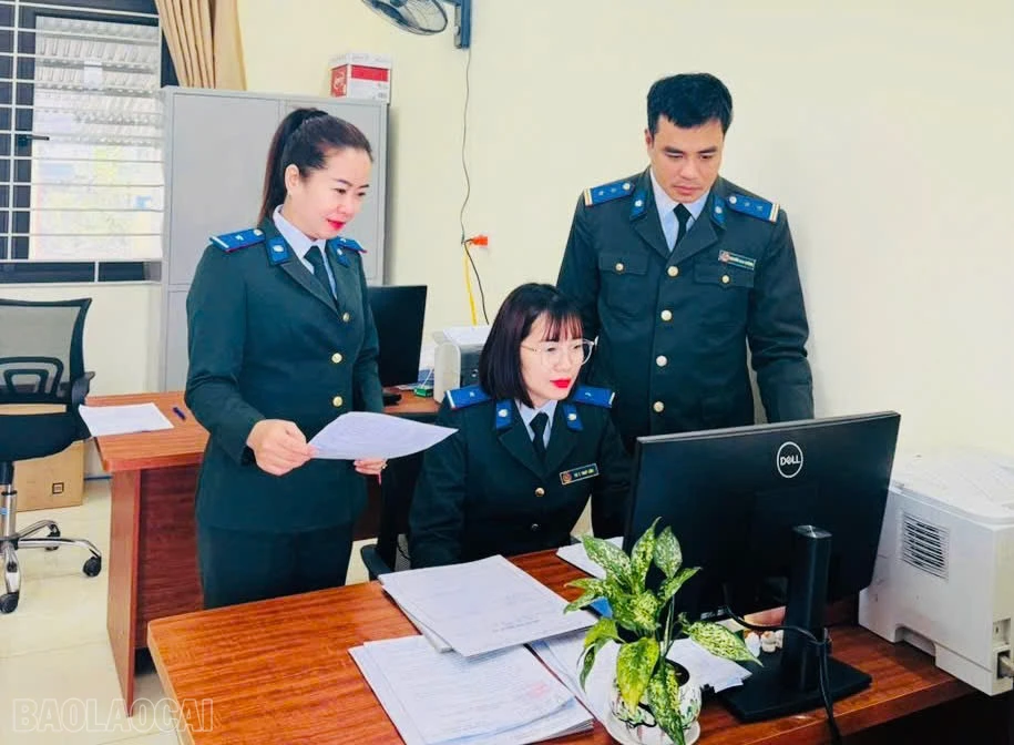baolaocai-bl_z7359587935869-f95921b849c51a3a3b2d7fcb1b4dc18d.jpg