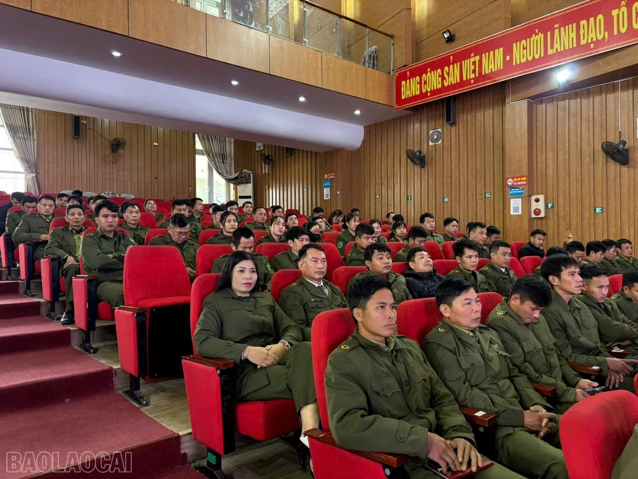 baolaocai-bl_z7366521528158-a4b109fb0bc494c1503e275d8154ad92.jpg