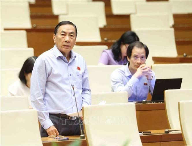 Đại biểu Quốc hội tỉnh Đồng Tháp Phạm Văn Hoà phát biểu. Ảnh: Phương Hoa/TTXVN