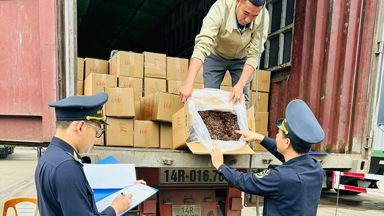 Hải quan Chi cục Cửa khẩu Hoành Mô (Bình Liêu, Quảng Ninh) kiểm tra hàng hóa xuất - nhập khẩu trước khi thông quan. (Ảnh LƯƠNG QUANG THỌ)