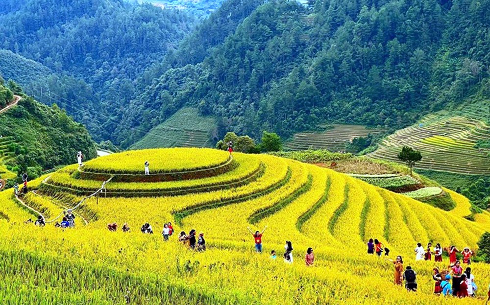 Du khách tham quan, khám phá vẻ đẹp ruộng bậc thang tại xã La Pán Tẩn. Du khách tham quan, khám phá vẻ đẹp ruộng bậc thang tại xã La Pán Tẩn.