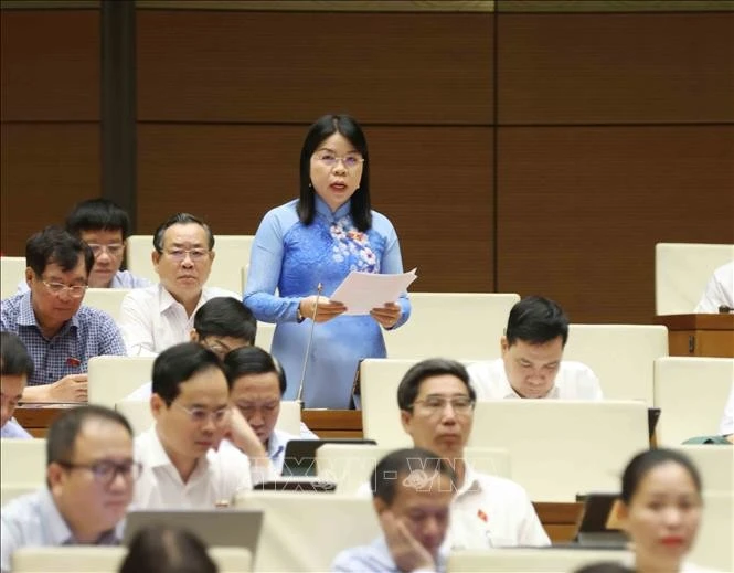 Đại biểu Quốc hội tỉnh Bình Dương Nguyễn Thị Ngọc Xuân phát biểu ý kiến, sáng 26/5. Ảnh: Phương Hoa/TTXVN