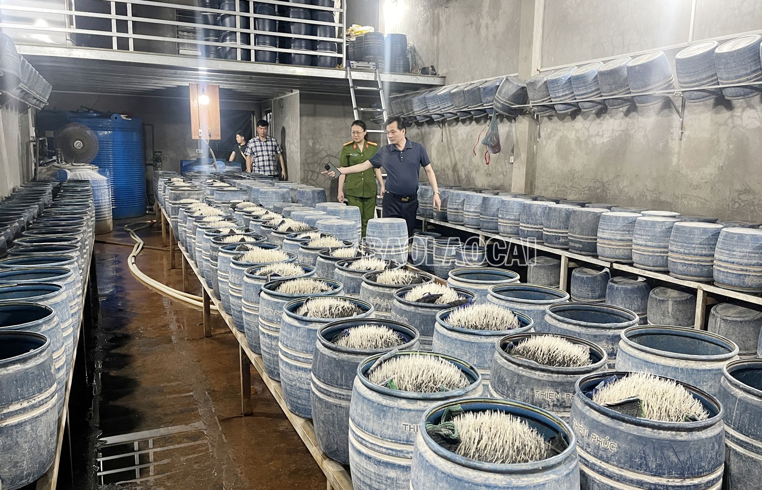 Lực lượng chức năng kiểm tra khu vực sản xuất giá đỗ của gia đình ông Lưu Văn Vẽ. t3.jpg