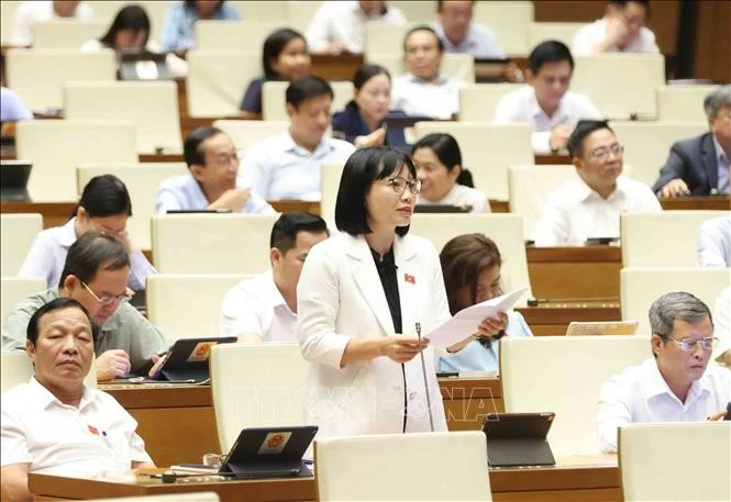 Đại biểu Quốc hội tỉnh Hải Dương Nguyễn Thị Việt Nga phát biểu. Ảnh: Phương Hoa/TTXVN