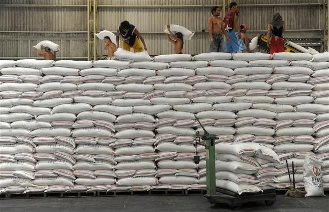 Vận chuyển gạo tại thủ đô Manila, Philippines. Ảnh: AFP/TTXVN