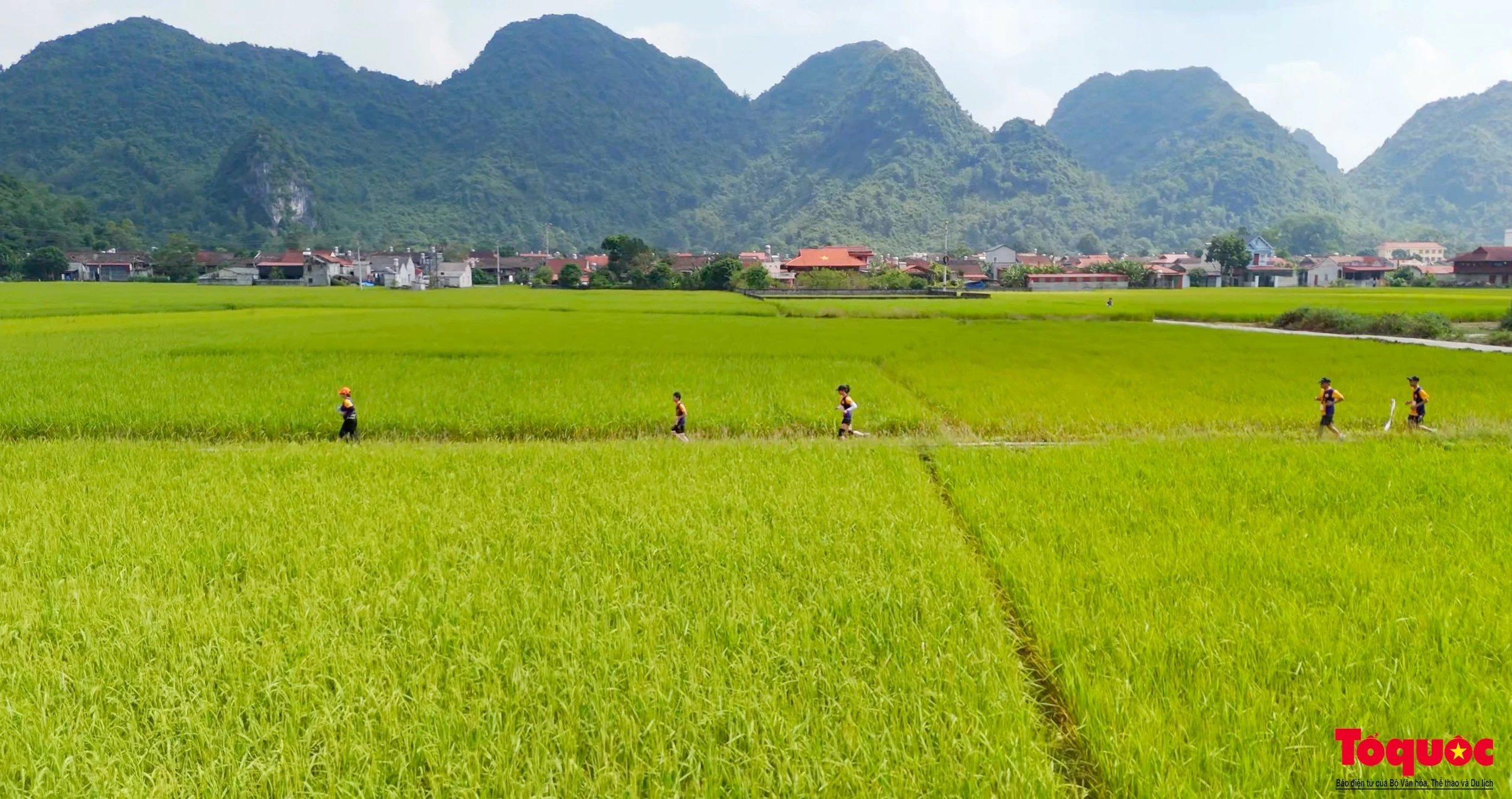 Khách du lịch tham gia giải chạy Mùa vàng Bắc Sơn Ultra Trail năm 2024 - hoạt động trong Lễ hội "Mùa vàng Bắc Sơn" năm 2024