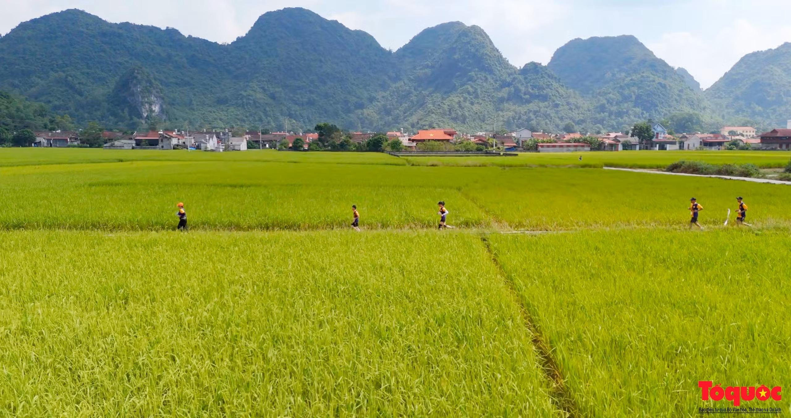 Khách du lịch tham gia giải chạy Mùa vàng Bắc Sơn Ultra Trail năm 2024 - hoạt động trong Lễ hội "Mùa vàng Bắc Sơn" năm 2024