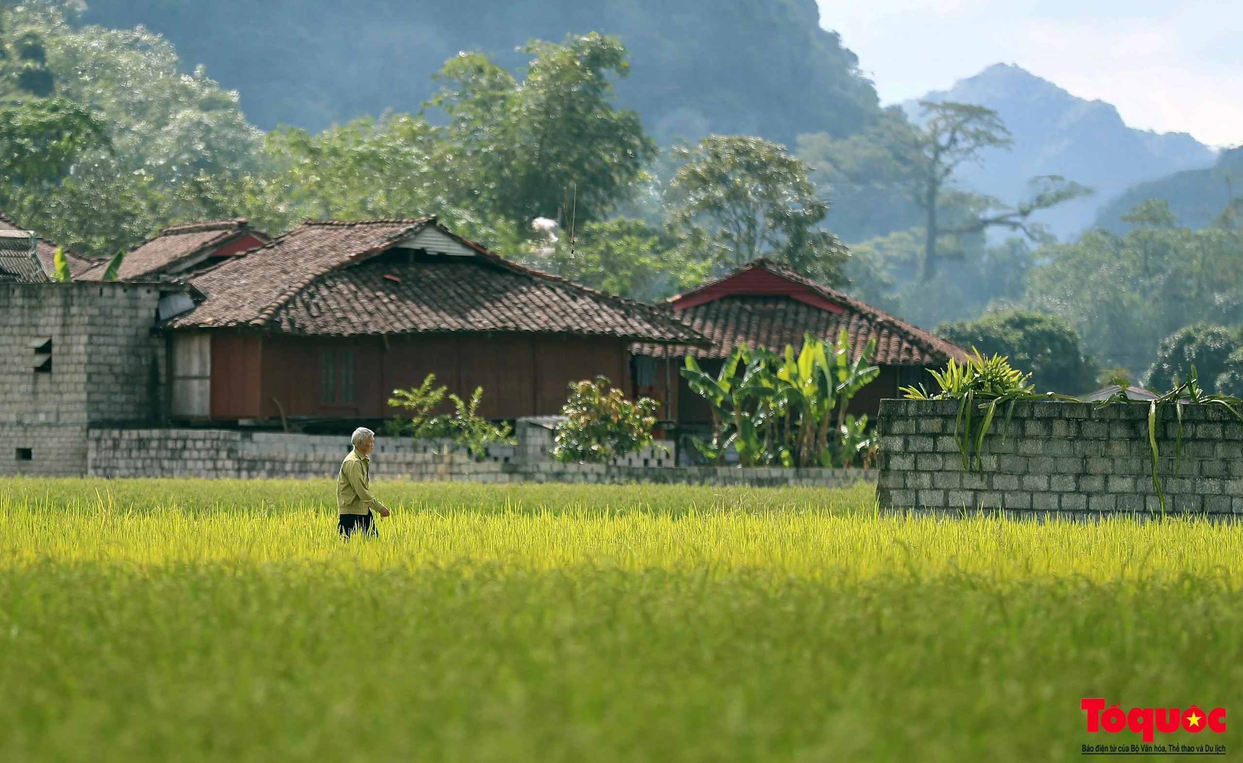 Làng văn hóa du lịch cộng đồng Quỳnh Sơn thuộc huyện Bắc Sơn, cách trung tâm thành phố Lạng Sơn khoảng 80 km. Hơn 400 ngôi nhà sàn nằm gọn trong thung lũng Bắc Sơn. Người dân sinh sống ở đây chủ yếu là người dân tộc Tày và có đến 90% mang họ Dương.