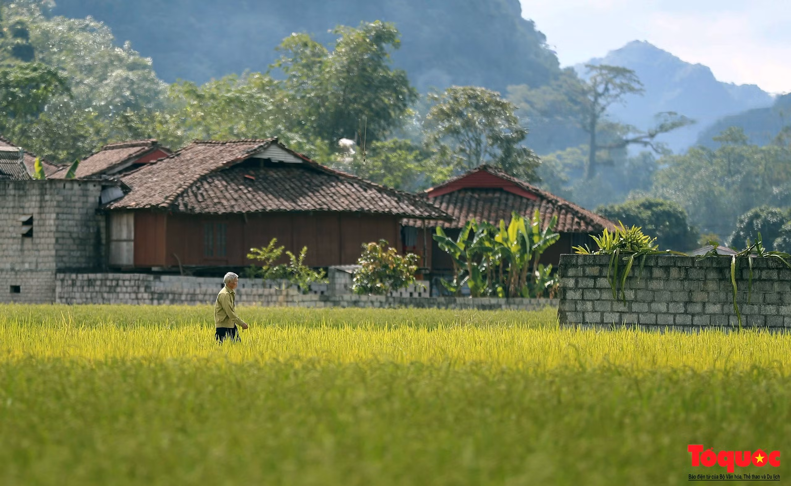 Làng văn hóa du lịch cộng đồng Quỳnh Sơn thuộc huyện Bắc Sơn, cách trung tâm thành phố Lạng Sơn khoảng 80 km. Hơn 400 ngôi nhà sàn nằm gọn trong thung lũng Bắc Sơn. Người dân sinh sống ở đây chủ yếu là người dân tộc Tày và có đến 90% mang họ Dương.