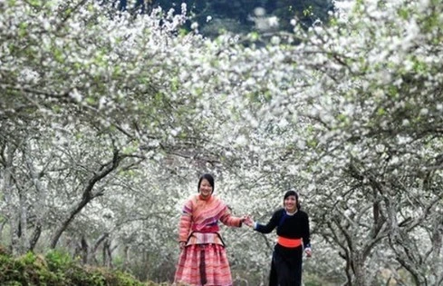 Thời tiết hôm nay (8/3): Miền Bắc trời rét. Ảnh minh họa: tapchimoitruong.vn