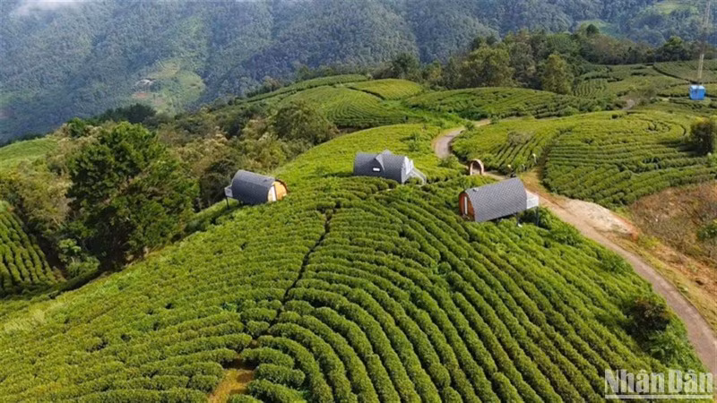 Khu du lịch sinh thái Kolia, ở xã Thành Công, huyện Nguyên Bình, tỉnh Cao Bằng.