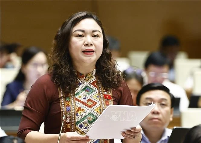 Đại biểu Quốc hội tỉnh Hoà Bình Đặng Bích Ngọc phát biểu. Ảnh: Doãn Tấn/TTXVN