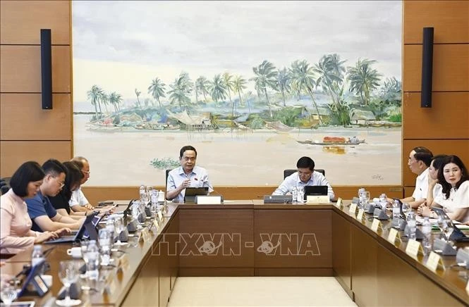 Chủ tịch Quốc hội Trần Thanh Mẫn, đại biểu Quốc hội tỉnh Hậu Giang phát biểu. Ảnh: Doãn Tấn/TTXVN