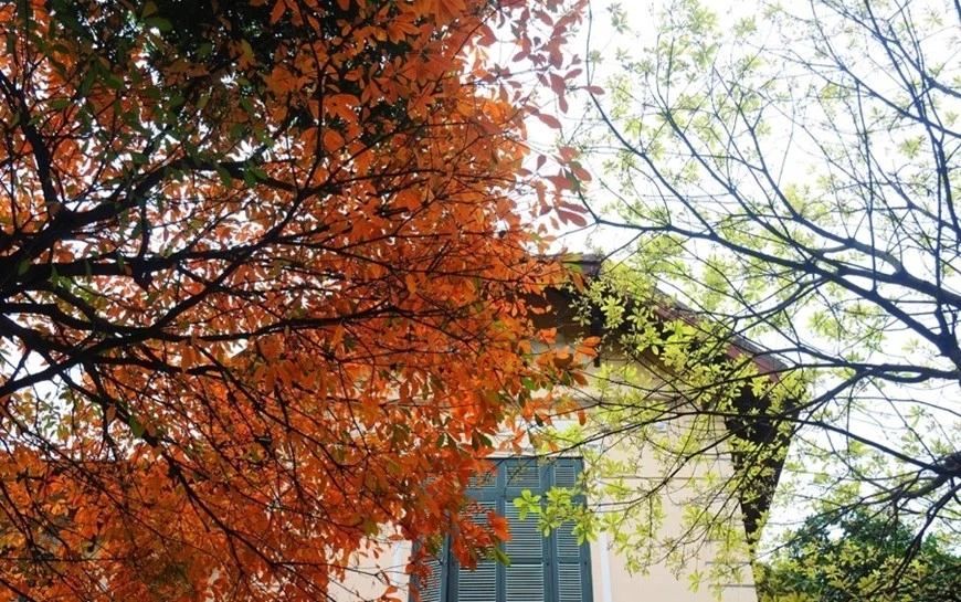 Thời tiết hôm nay (9/4): Nhiều nơi trên cả nước tăng nhiệt, trời nắng. Ảnh minh họa: Vnexpress