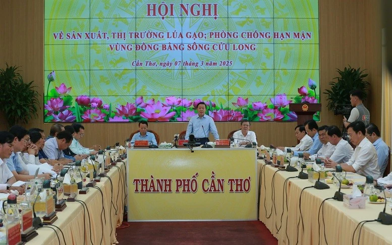 Phó Thủ tướng: Trong tháng 3/2025 phải sửa đổi, bổ sung Nghị định 107/2018/NĐ-CP về kinh doanh xuất khẩu gạo để tháo gỡ khó khăn, vướng mắc hiện nay cho doanh nghiệp xuất khẩu gạo - Ảnh: VGP/Minh Khôi
