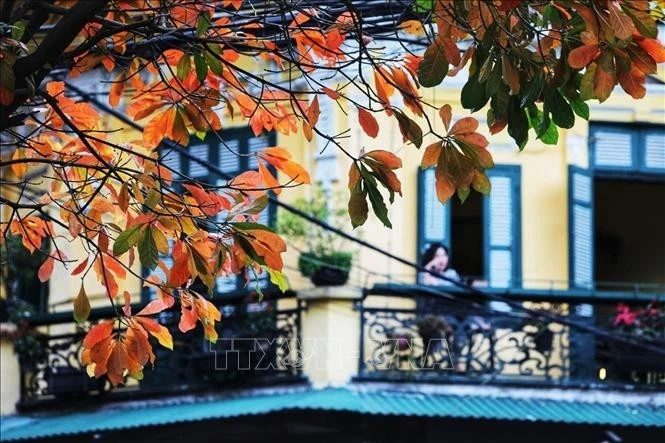 Thời tiết hôm nay (1/4): Bắc Bộ tăng nhiệt nhẹ. Ảnh minh họa: TTXVN