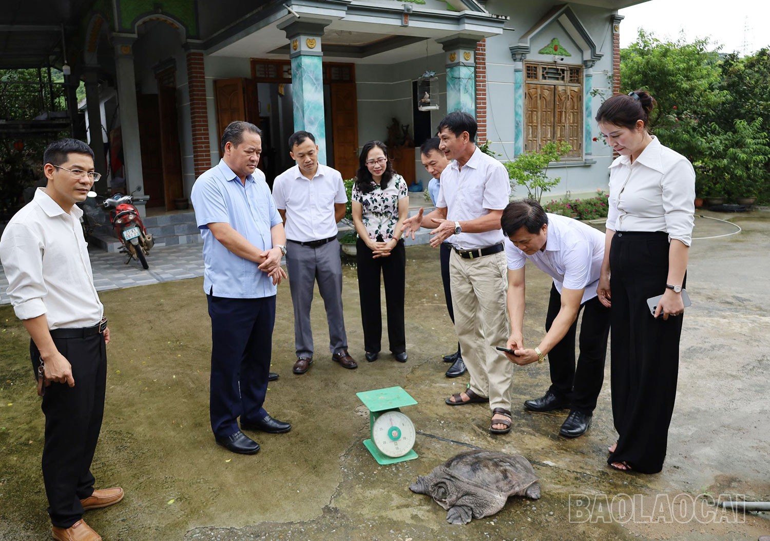 Khảo sát tại Hợp tác xã chăn nuôi ba ba gai Cát Thịnh, thôn Văn Hưng. 11.jpg