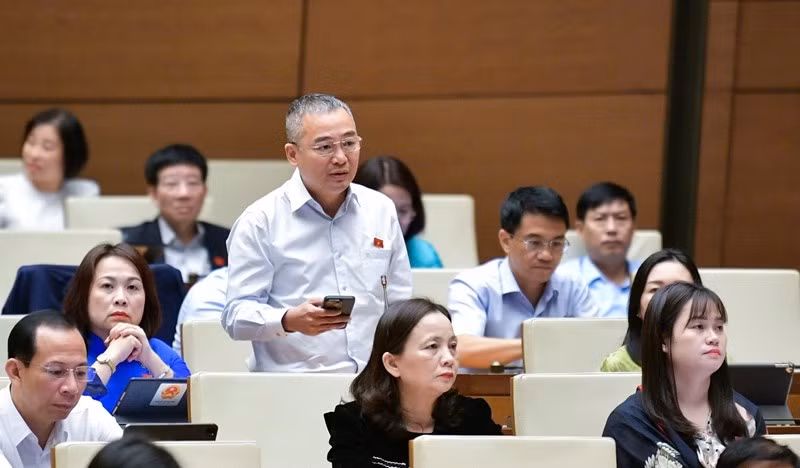 Đại biểu Nguyễn Lân Hiếu (Đoàn Bình Định).