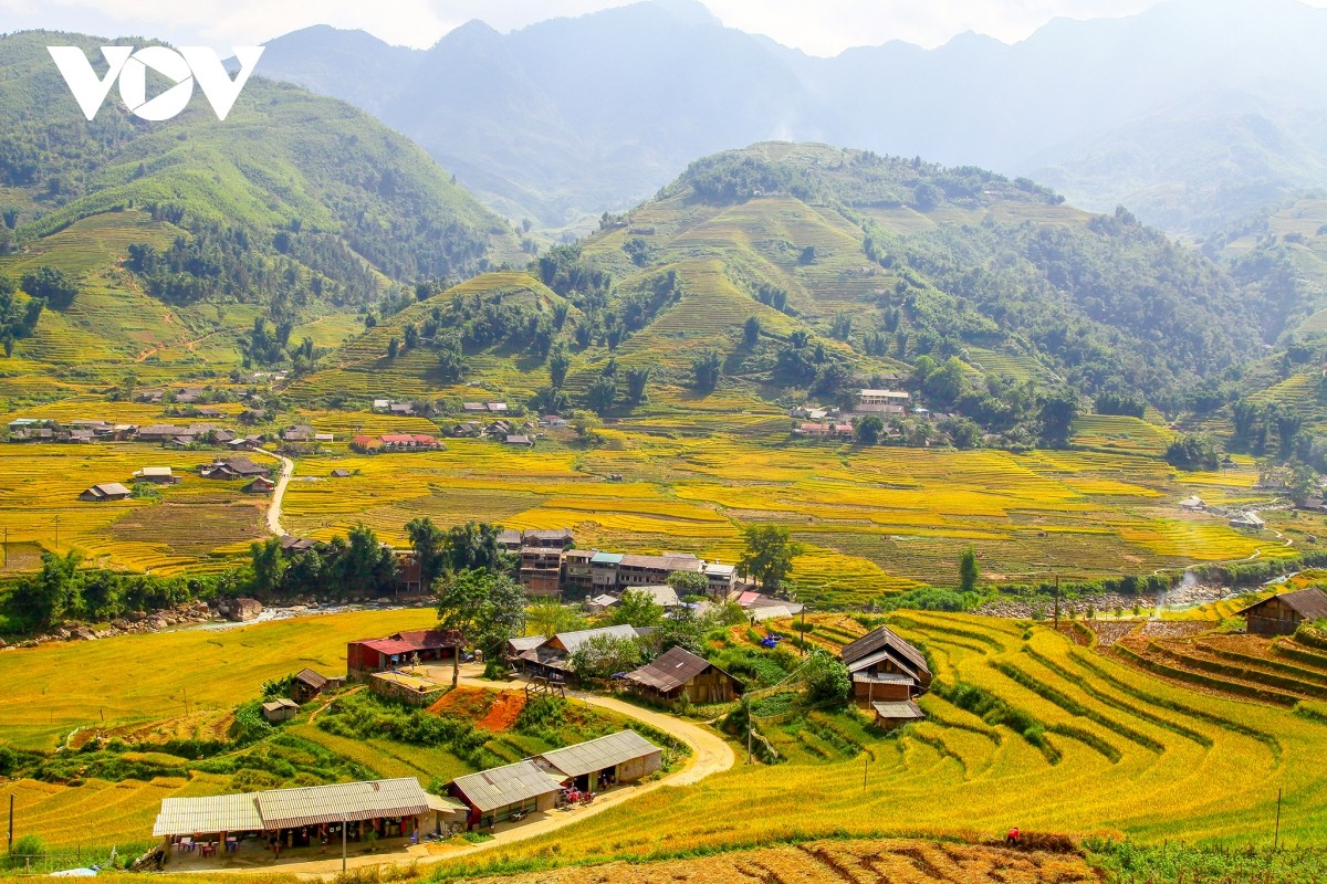 Ruộng bậc thang ở Sa Pa. Ruộng bậc thang ở Sa Pa.