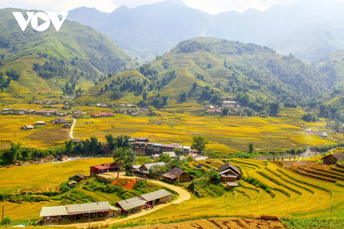 Ruộng bậc thang ở Sa Pa.